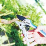 ΨΑΛΙΔΙ ΚΗΠΟΥ EASY CUT ΤΥΠΟΥ ΚΑΣΤΑΝΙΑ 2 ΣΕ 1 AQUACRAFT 330120 - Image 2