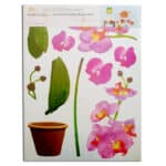 ΔΙΑΚΟΣΜΗΤΙΚΑ ΑΥΤΟΚΟΛΛΗΤΑ ΤΟΙΧΟΥ ΛΟΥΛΟΥΔΙΑ ΣΕ 4 ΣΧΕΔΙΑ